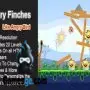 Angry Finches Funny HTML5