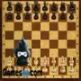 maestro de ajedrez rey