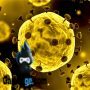slide virus corona