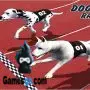 Crazy Dog Racing Fever 3D