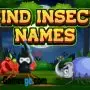 encontrar nombres de insectos