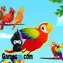 oiseaux de couleur Flappy