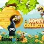 Honey Collector Bee