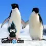 пингвин пазл