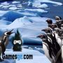 Pinguine rutschen