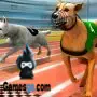 simulator balap anjing nyata 3d