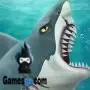 هجوم القرش عارضة