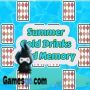 memória de cartão de bebidas frias de verão