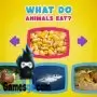 जानवर क्या खाते हैं