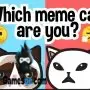 Welche Meme Katze bist du?