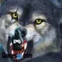 chasseur de loup sauvage