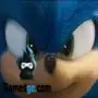 Sonic Fox Abenteuer